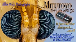 Mitutoyo M Plan 5X Objective for Macro Photography - the Lowdown