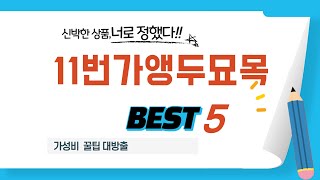 11번가앵두묘목 인기 추천 리뷰 TOP5