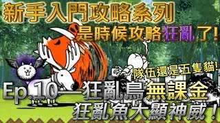 貓咪大戰爭 新手向攻略Ep.10—狂亂鳥貓—★☆無課金攻略☆★