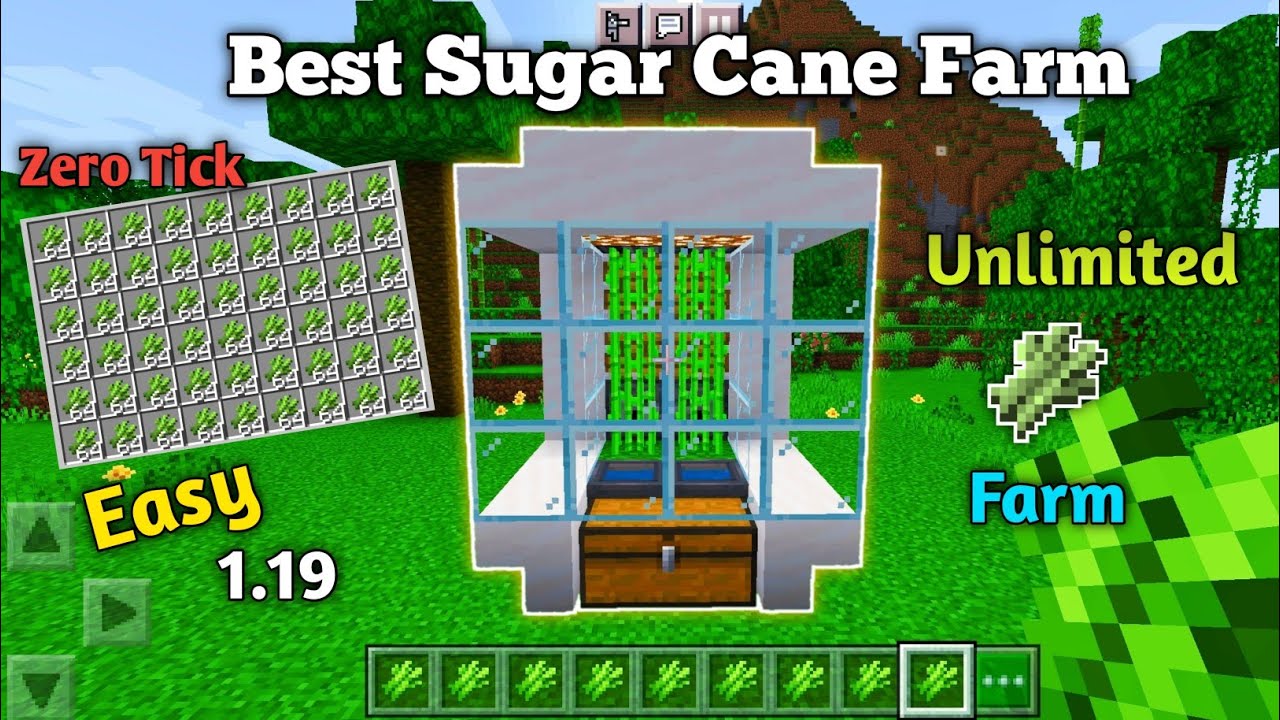 Easy 1.19 Fastest Automatic SugarCane Farm Tutorial In Minecraft ...