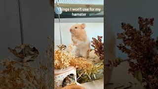 Things I won't use for my Hamster - Unsafe Pet Products - TikTok Trend Hamster E
