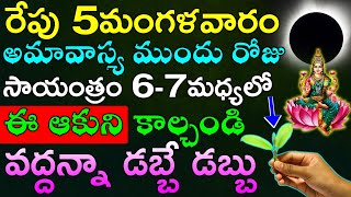 రేపు 5మంగళవారం అమావాస్య ముందు రోజు సాయంత్రం 6-7మధ్యలో మర్చిపోకుండా  ఈ ఆకుని కాల్చండి  డబ్బే డబ్బు