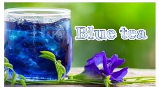 💙|നീലച്ചായയും നിറയെ ഗുണങ്ങളും||How to prepare blue tea recepie at home|#trending #bluetea #malayalam