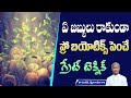 Probiotics for Gut Health | Immune System | Friendly Bacteria | Curd | Manthena Satyanarayana Raju