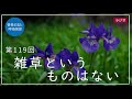 第119回「雑草というものはない」2021 5 5【毎日の管長日記と呼吸瞑想】｜ 臨済宗円覚寺派管長 横田南嶺老師