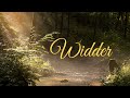 Widder ♈️ Große Chancen! Schiebe das Thema nicht mehr vor dir her! Du findest eine sinnvolle Lösung.