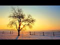 pure u0026 cool relaxing xmas instrumentals u0026 other instrumentals mix