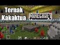 Membuat Kandang Kakatua dari emas -Minecraft || Ternak Kakaktua