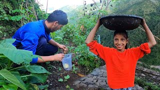 आज सबने बहुत मेहनत कर दी || गुजरात से आये बीज || Pahadi Lifestyle Vlog || Cool Pahadi