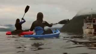 Kayak and Snorkeling Adventures, Howe Sound, British Columbia with Sea Dragon Charters