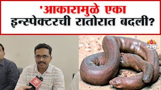 Mandul Snake Smuggling: आठ दिवसाची पाळत अन् मांडूळ सापाची तस्करी करणारी टोळी गजाआड!