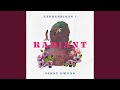 Echo (The Remix)