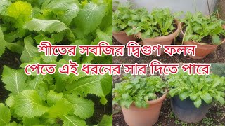 শীতের সবজির দ্বিগুণ ফলন পেতে এই ধরনের সার দিতে হবে/সারাবছর সবজির দ্বিগুণ ফলন পেতে এই সিক্রেট সার দিন