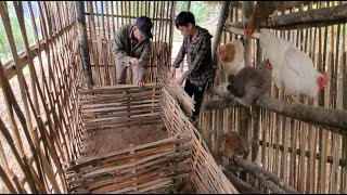 Father and son build a chicken coop episode 2. life outside freedom