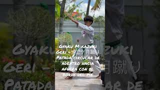 #shorts - Gyaku Mikazuki Geri -逆三ケ月蹴りPatada circular de adentro hacia afuera con el borde del pie