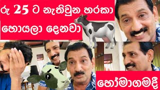 රුපියල් 25 ට නැතිවුන හරකා හොයාගන්න හැටි | TALK WITH SURAN  - Sangeeth Vlogs|Sangeeth Satharasinghe