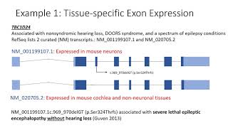 Transcript Overview Part 1: Transcript Annotation