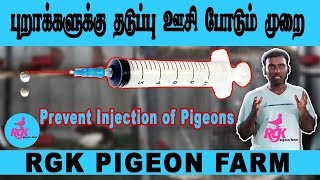 Prevent Injection of Pigeons