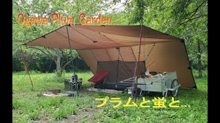 Ogawa Plum Garden にてタープ泊