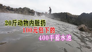 20斤动物内脏扔100包下的400平蓄水池，没抽干就沸腾了，抓过瘾了