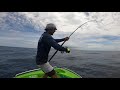 australias biggest topwater gt