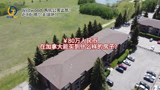 OPEN HOUSE Video Tour| 311 Tait Cres #306, Saskatoon| 80万人民币在加拿大能买到什么样的房子？#萨斯卡通 #saskatoon