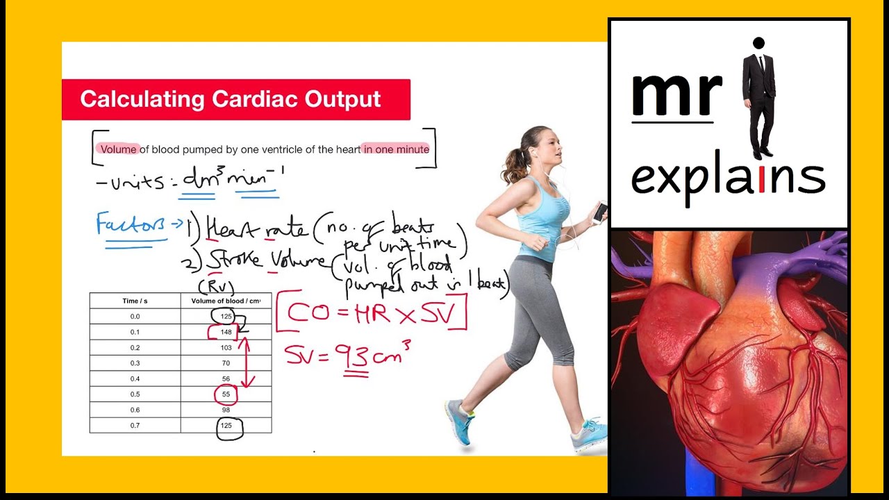 Mr I Explains: Calculating Cardiac Output - YouTube