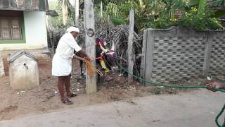 thiruvidaiyarpatti aranmanai pride