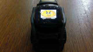 Learning Shapes with Anki Vector SDK