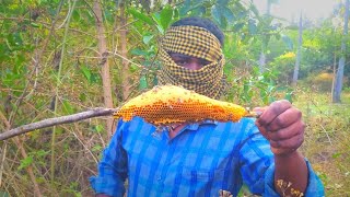 காடு காடாக அலைந்து முற்களிடம் காயம் பட்டு ரொம்ப கஷ்டப்பட்டு கொம்புத்தேன் சேகரிக்கும் வீடியோ....🐝😍✨