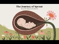 The Journey of Sprout: Story for Baby in The Womb