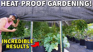 Protect Your Garden From HEAT With SHADE CLOTH For Incredible Results!