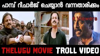 Thelugu Movie Troll / Vinaya Vidheya Rama / Ram Charan