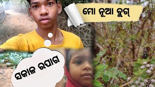 ମୋ ନୂଆ ବ୍ଲଗ || ସକାଳ ର ପାଗ || viral video