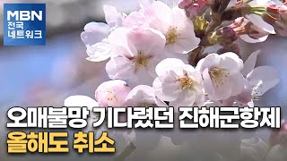 오매불망 기다렸던 진해군항제…올해도 취소 [전국네트워크]