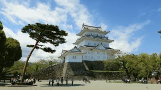 Yajiさんの お城巡り 相模 小田原城 【Odawara Castle】