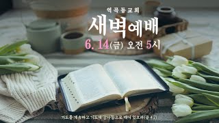 역곡동교회 24.06.14(금) 새벽예배