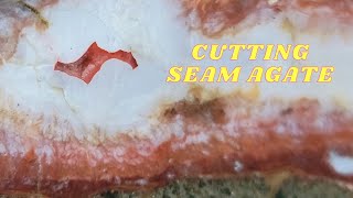 Cutting Some Bass River Seam Agate from Nova Scotia, Canada