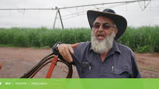 Keeping records for Smartcane BMP