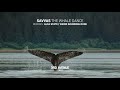 Savvas - The Whale Dance [3rd Avenue]