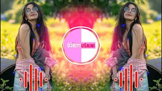 Haseeno Ko Aate Hain Kya Kya Bahane Remix | hindi love songs | full hard bass