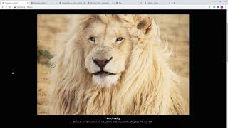 Revolution Lightbox static and dynamic content explained