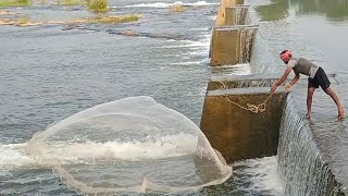 പുഴയിൽ നിന്ന് ഒരു കിടിലൻ നെത്തൽ പിടുത്തം