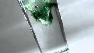 Nature's Sunshine Liquid Chlorophyll ES