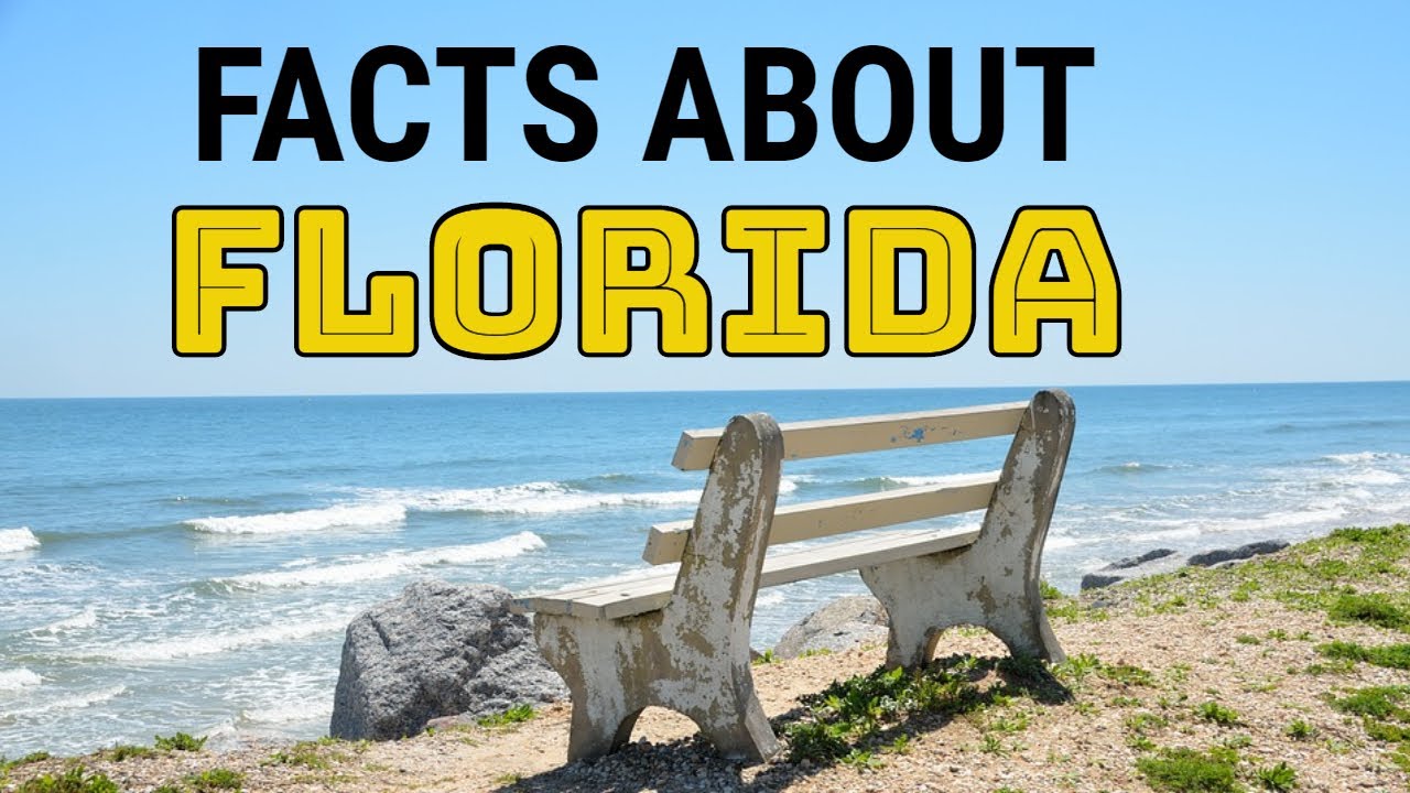 Florida | Florida Tourist Places | Florida Facts | Florida US - YouTube