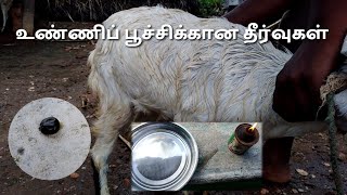 ஆடுகளில் வரும் உண்ணி பூச்சிக்கான தீர்வுகள் |Medicine prescribed by  veterinary doctor \u0026 Farm owner