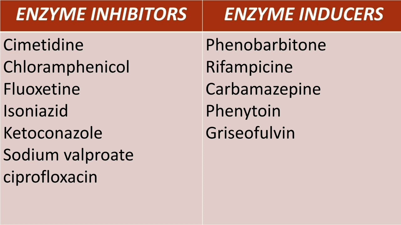 14+ Cytochrome P450 Inducers And Inhibitors Explained