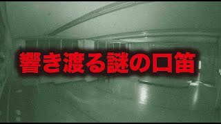 【心霊ライブ配信】響き渡る謎の口笛