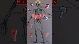 Everything You Need to Know About human body general knowledge II The Ultimate Guide to human body