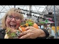 Propagating Succulents & Making Pumpkin Succulent Planters